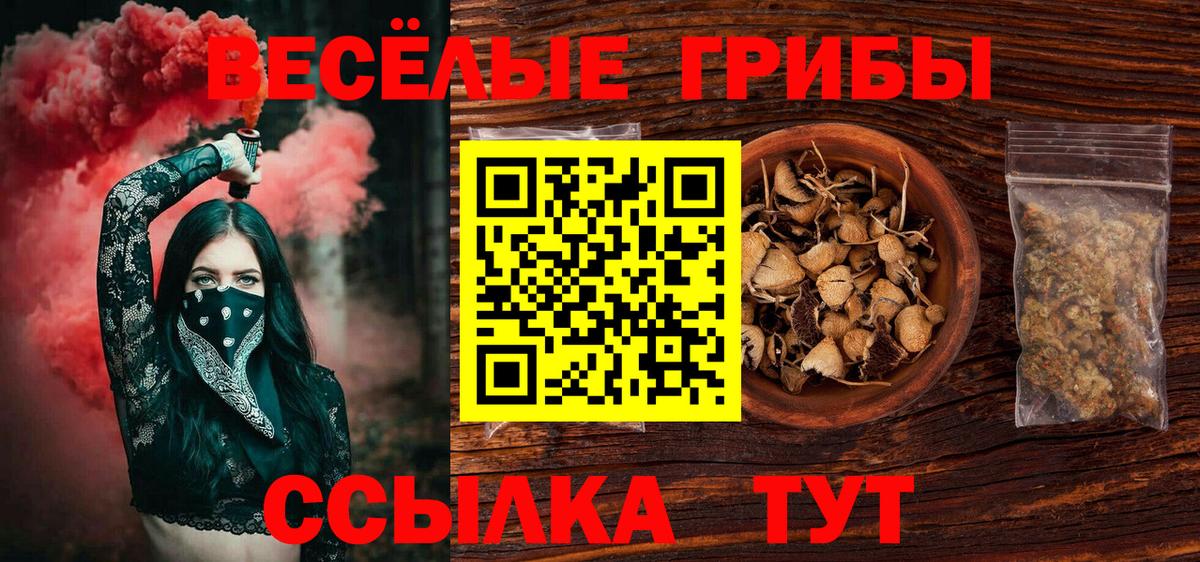 Псилоцибиновые грибы прущие грибы Тимашёвск